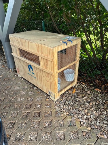 Flugbox hunde nach - flugbox, iata