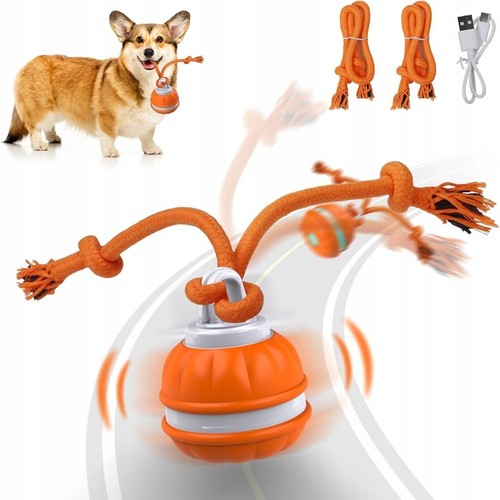 Interaktives hundespielzeug - interaktives,