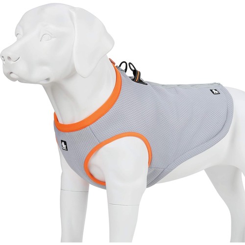 Kühlweste hund - hund,