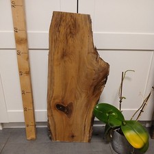 Deko Nussbaum WALNUSS Schwarten BRETT 66 cm Baumkante-Garderobe DIY Basteln Wurm