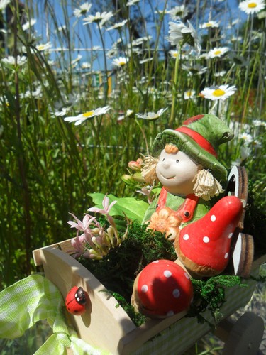 Figur gesteck niedlich - gesteck,