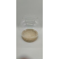 Wabi Kusa mit Holzschale Ø