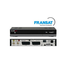 GLOBSAT GS 1000 Satellit Receiver VIACCESS Fransat Karte DVB-S Scart