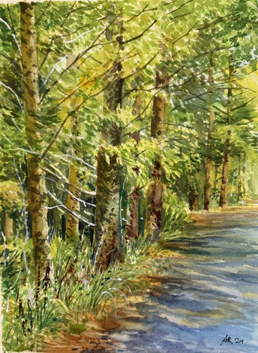 Aquarellbild original 31x23 - original,