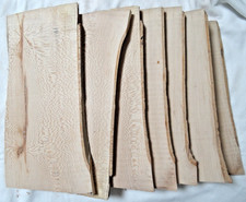 Platane Baum Bretter 7 St