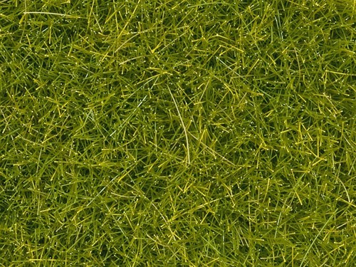 Noch 08363 streugras - noch,