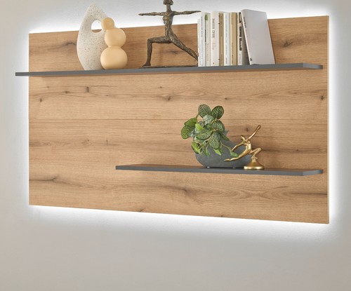 Wandpaneel wandregal wandboard - wandpaneel,