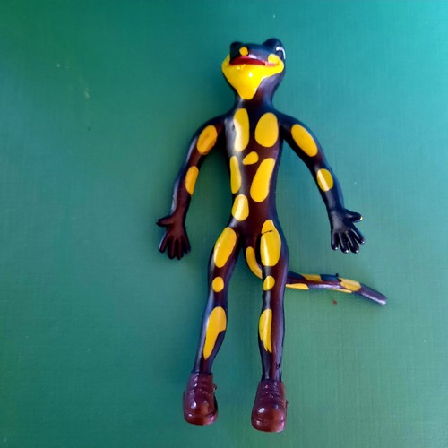 Lurchi salamander - salamander,