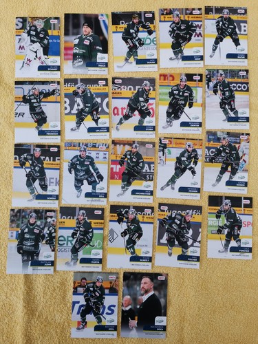 Del2 2025 bietigheim - del2,