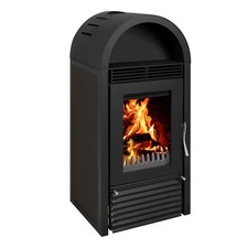 Kaminofen wasserführend