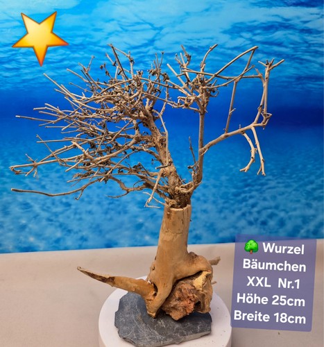 Aquarium wurzel bonsai - 🌳aquarium,