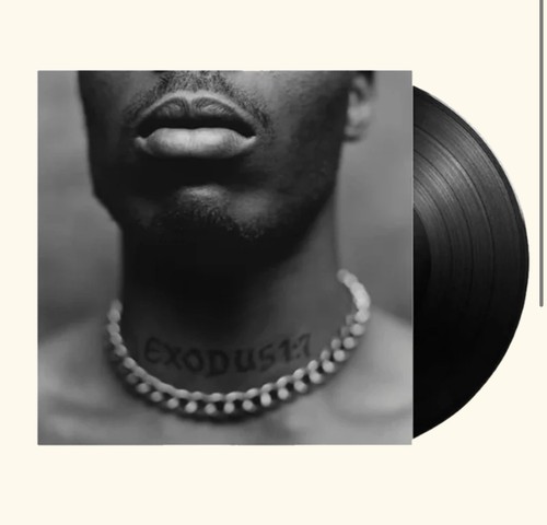 Dmx exodus vinyl - dmx, hip