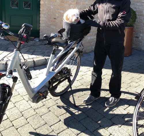Trixie hunde - trixie,
