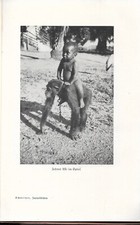 Albert Schweitzer Afrikanische Jagdgeschichten 1937 ERSTAUSGABE der illustriert