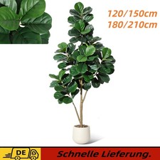 Kunstpflanze Ficus im Weiß