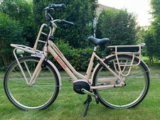 Gazelle Miss Grace in rosa