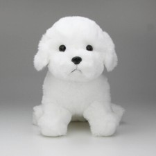 Malteser Havaneser Bichon