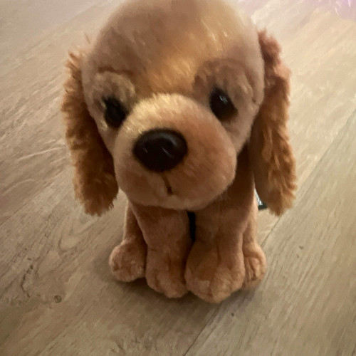 Chi love hund - hund, plüschtier