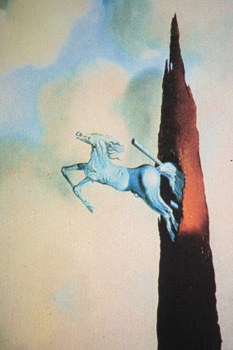 Salvador dali lithographie - salvador,
