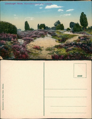Lüneburger heide - lüneburger,