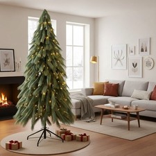 Tannenbaum Pampasgras Baum