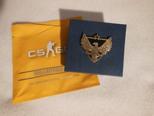 CS:GO CS2 Pin Brigadier