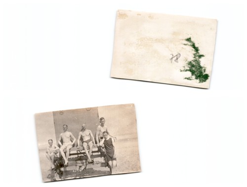 Flandern - ,