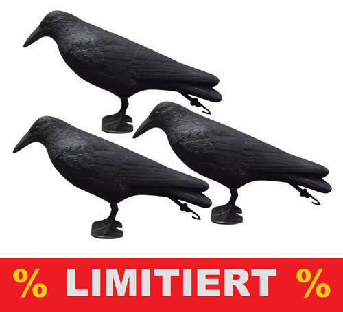 Vogelabwehr taubenschutz - vogelabwehr,