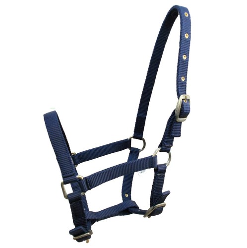 Stabile fohlenhalfter nylon - fohlenhalfter,