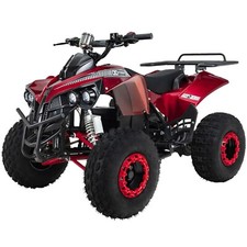 Midiquad Miniquad ATV S-10 1000 Watt Quad Pocket Kinderquad Elektro Pocketquad