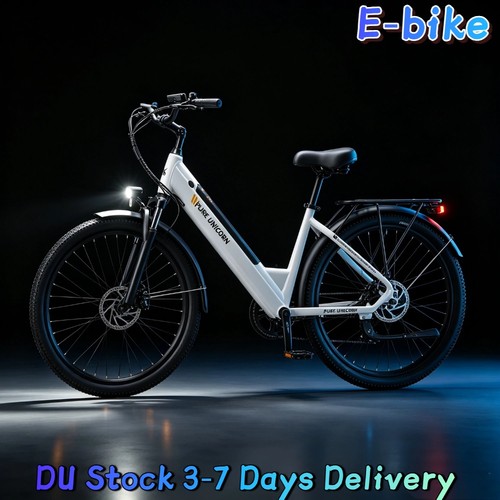750w 48v 8ah pedelec city - 750w,