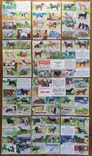 13 Original Maltafeln für