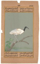 Vogel Miniatur Malerei