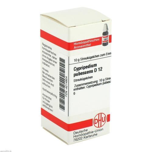 Cypripedium pubescens 12 - 3x,