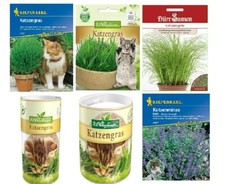 Katzengras Saatgut Minze