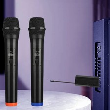 Kabellos Mikrofon PA -Systeme