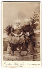 Fotografie Gustav Ziesche