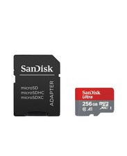 256 GB Sandisk Ultra