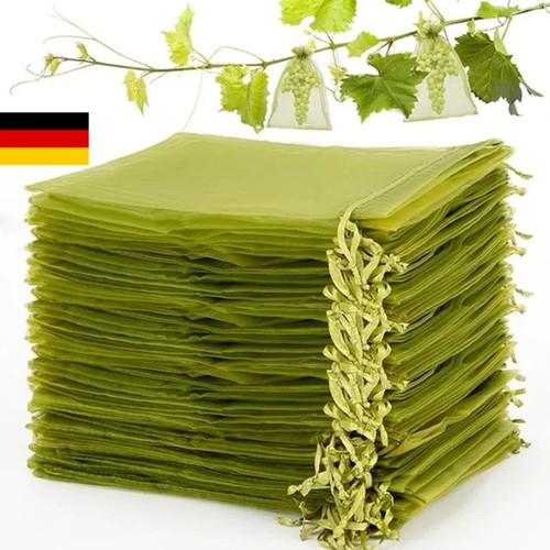 100stk trauben schutz taschen - trauben,