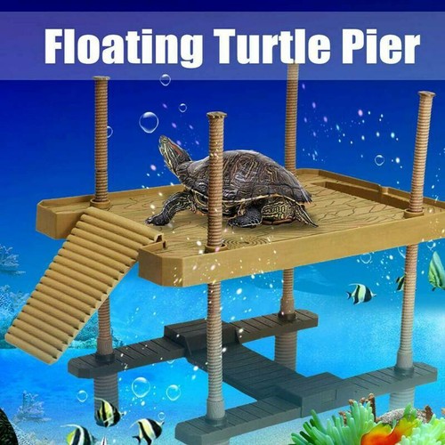Schildkröten aquarium - schildkröten,