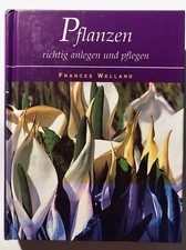 PFLANZEN RICHTIG ANLEGEN UND