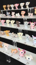 LPS-Mäuse, verschiedene