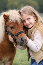 Halfter Sterne Blau Schwarz