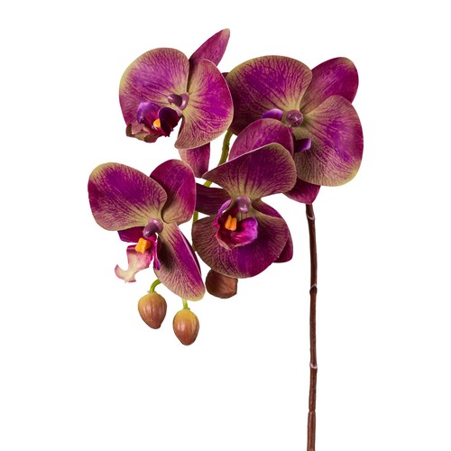 Kunstblume phalenopsis 4er - kunstblume,