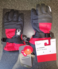 Jungen Spider Overweb