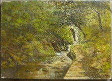 ::WASSERFALL WALD BÄUME FLUSS