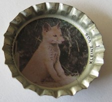 Belgium    Coca Cola