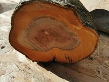 Drechselholz Bastelholz Edelholz Apfel Kirsche Eiche Mirabelle