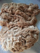 Alpakavlies Rohwolle ,Schur