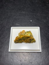 Masuyit xx, Oursinit xx